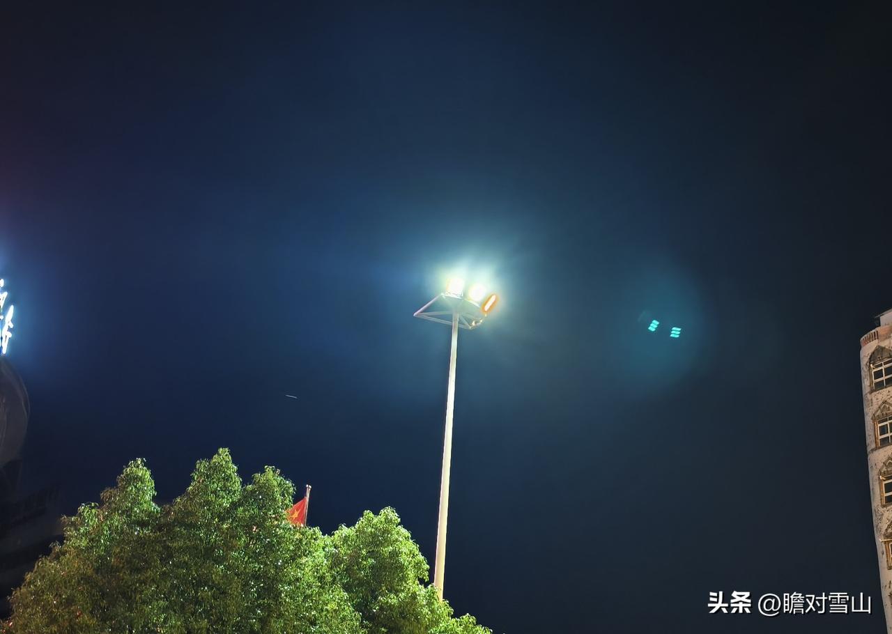 找人把院子里的花搬到屋里，竟然还得走流程。

前几天把屋里的两盆花搬到了，因为它