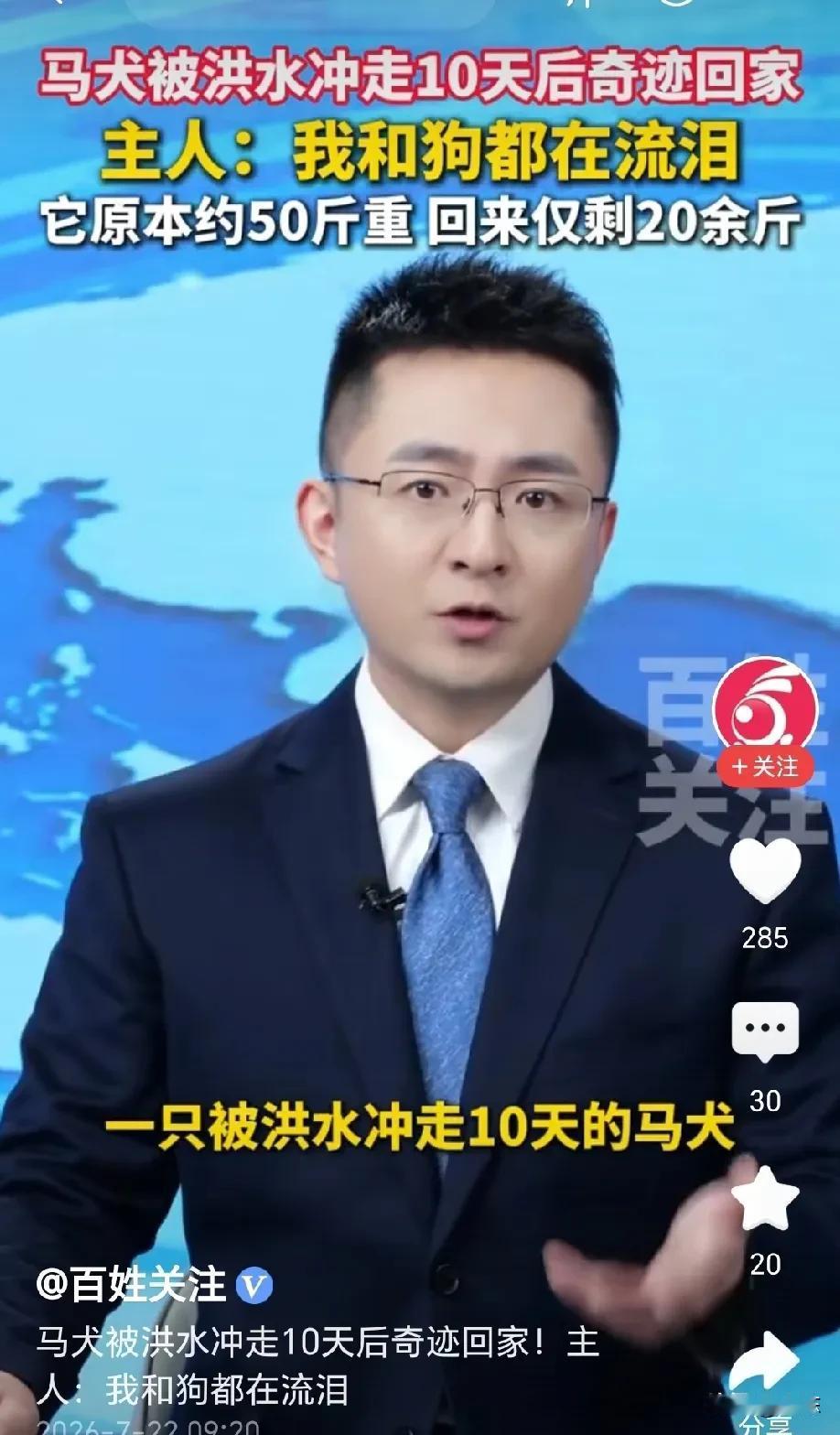 太有灵性了！广西百色，马犬被洪水冲走，主人悲痛到极点，以为这辈子再也见不到它了，