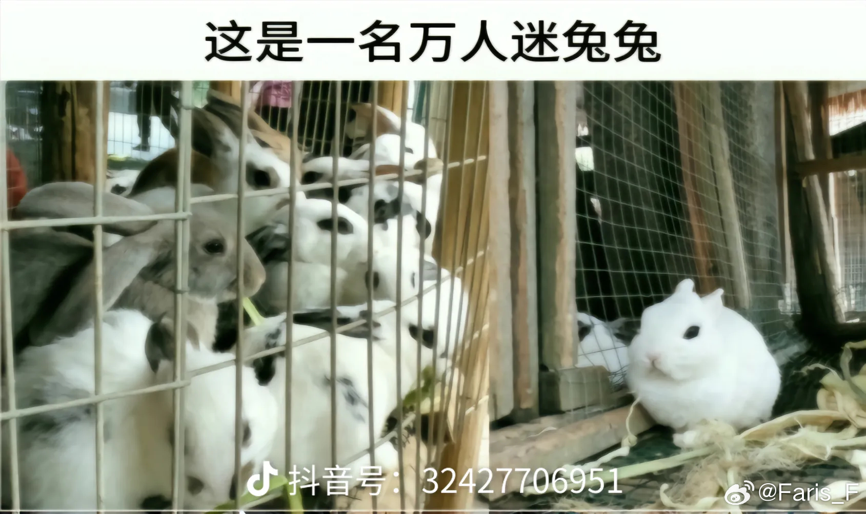 停概念 