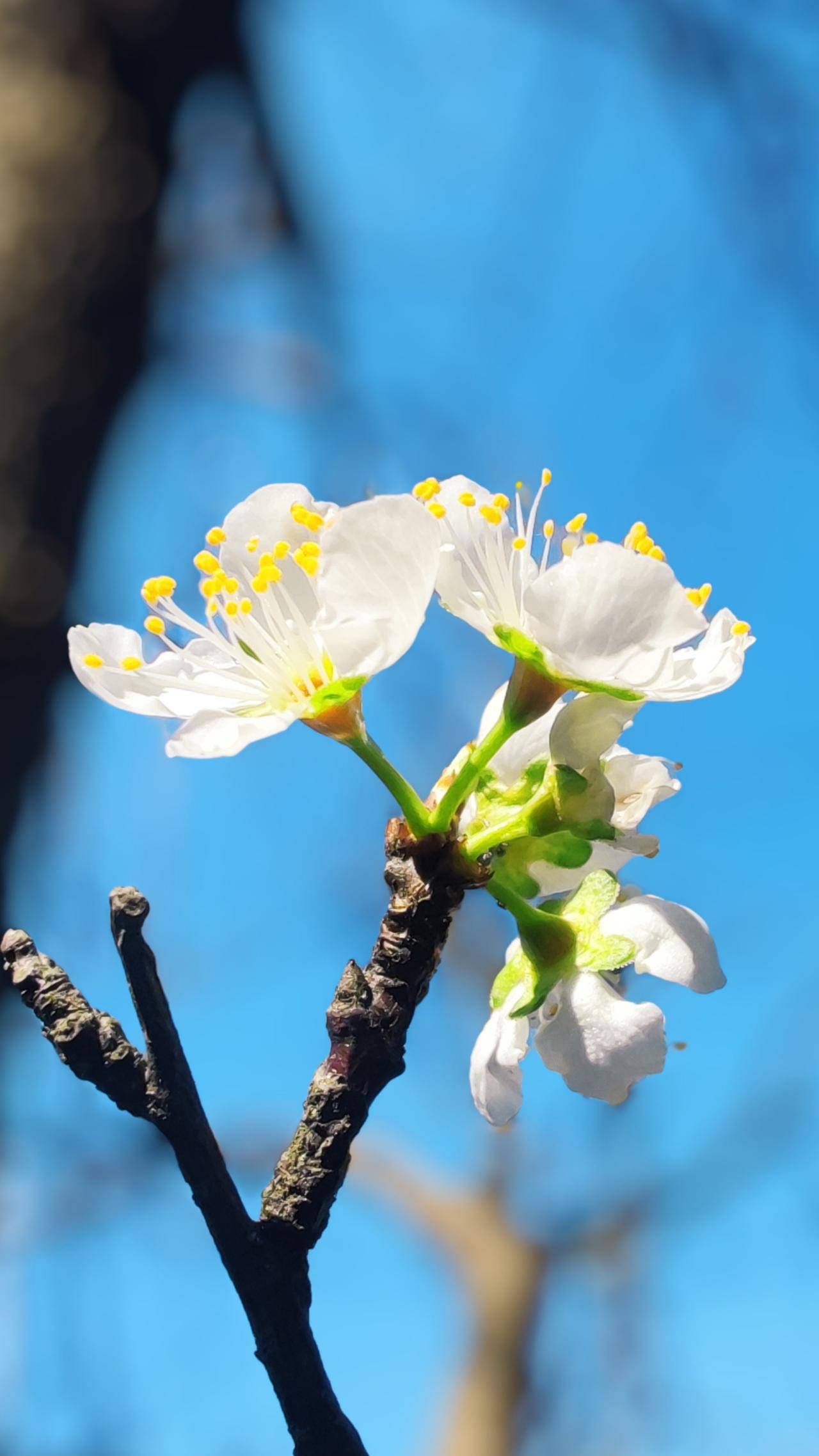 问：为何万法皆空？YG不空？
答：万法皆空，是指心空，心无所住，自在如如；YG不