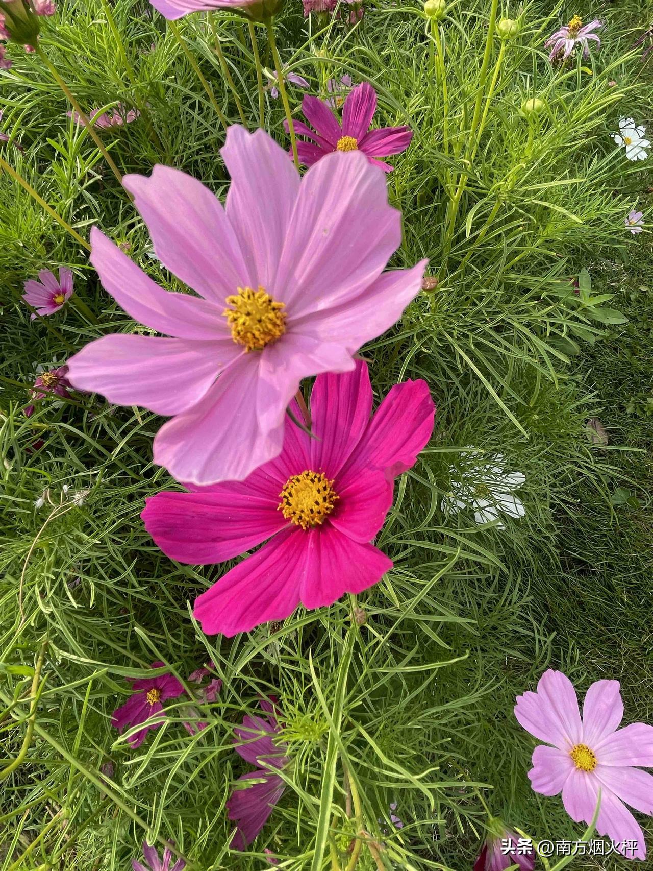 清晨的雨滴带来清新的空气，也带来我的祝福，愿你雨天也能感受到阳光的温暖，早上好！