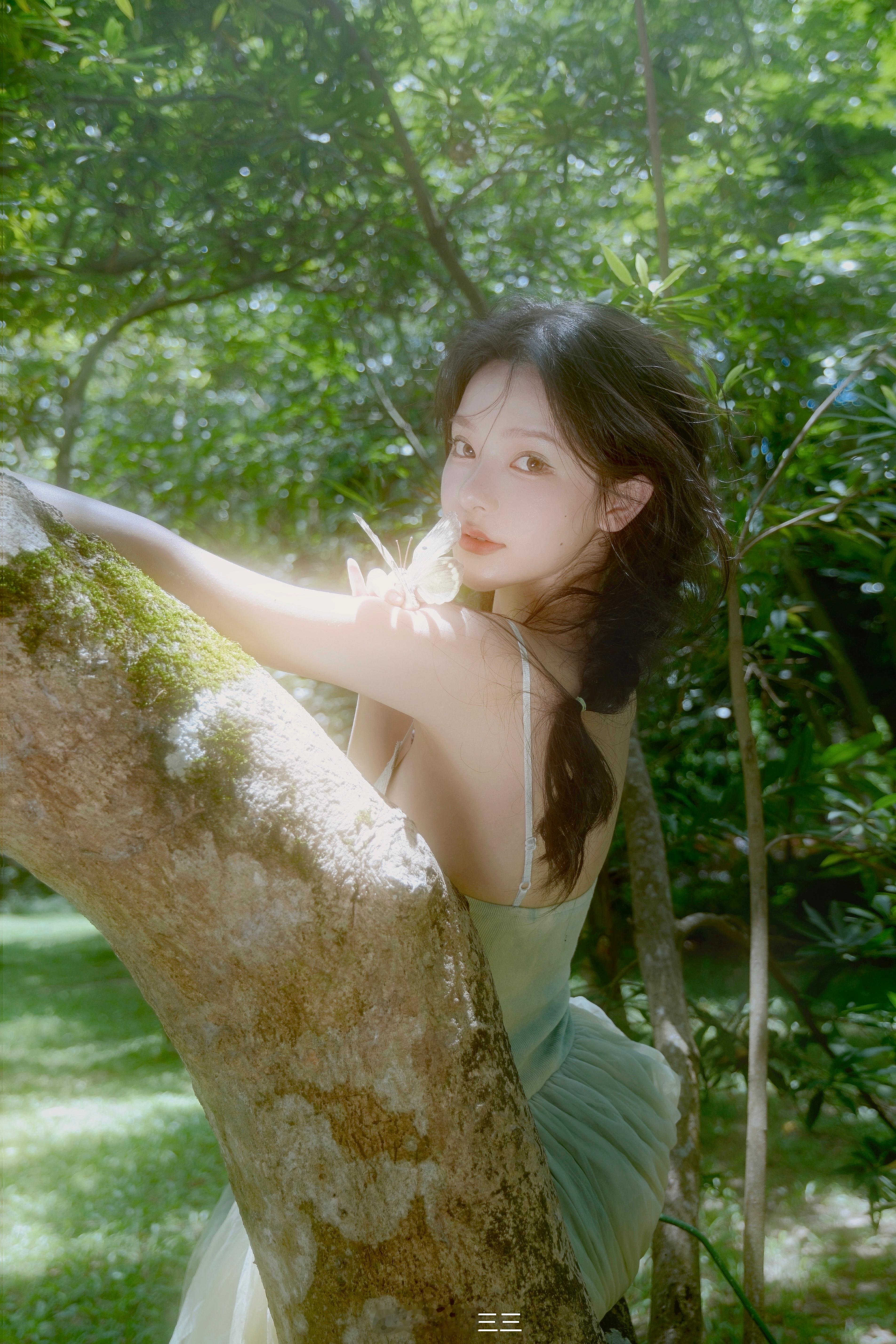 森林蝶梦🧚​​​