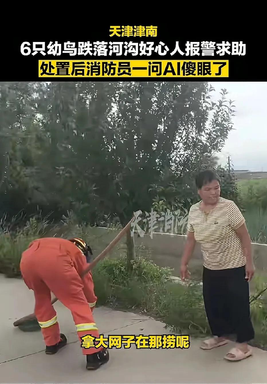 这不整岔劈了吗？哈哈😃，刷到天津消防发布的视频，6只小鸟跌落在河沟里，好心人报