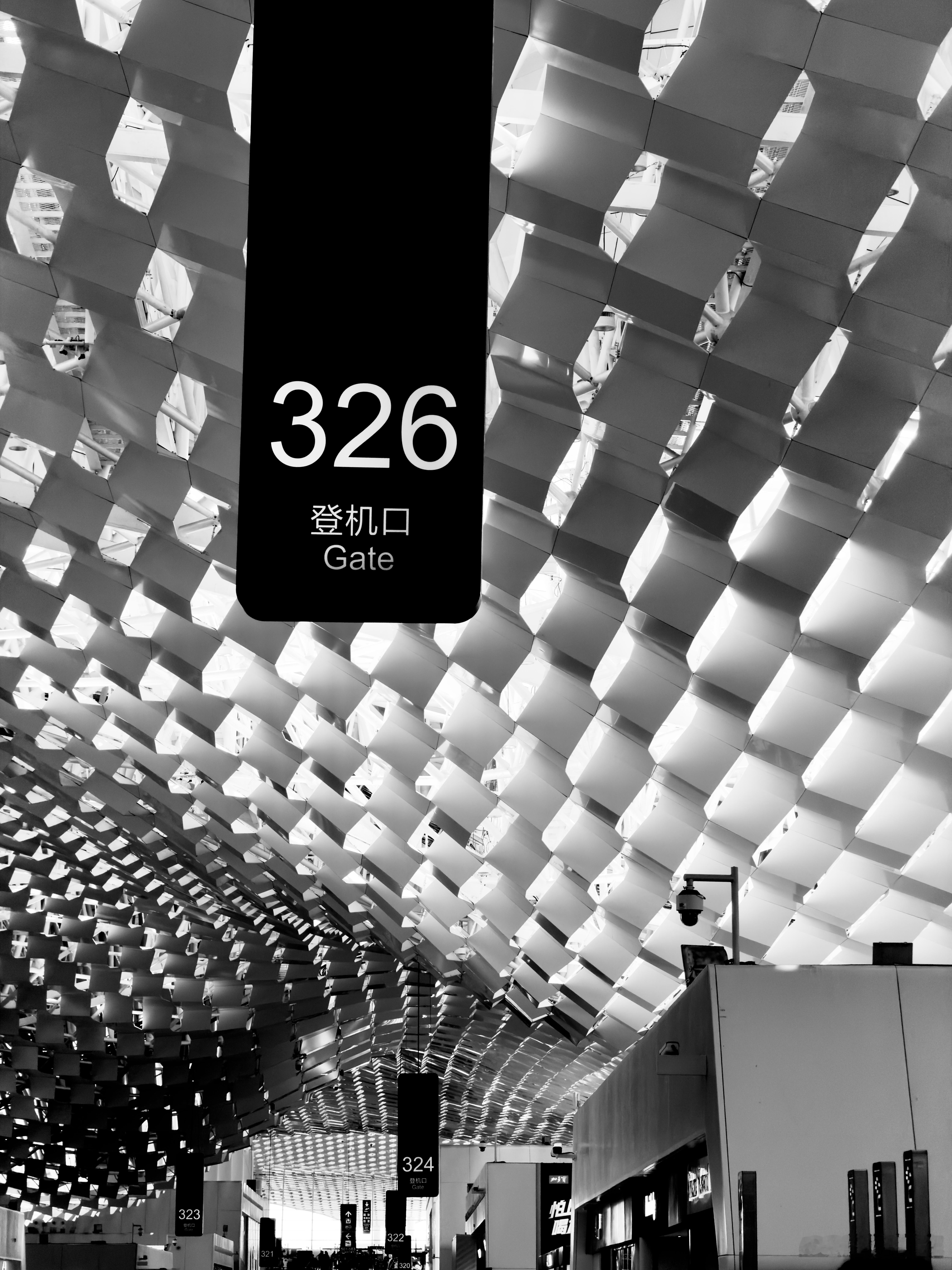 走了～回家过冬去了～我的日常plog 深圳·深圳宝安国际机场T3航站楼