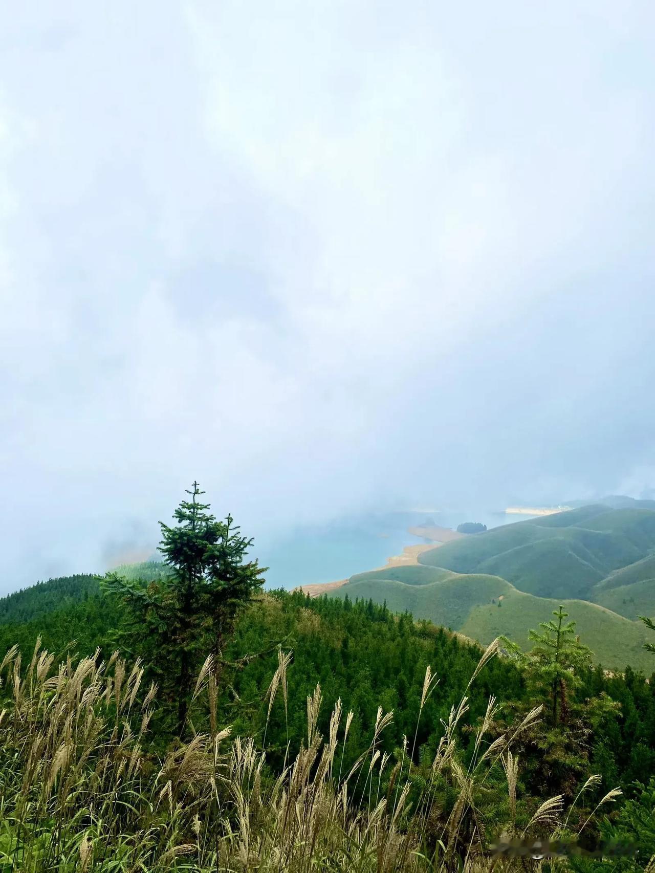 现在的高中生学习任务真是压力山大！女儿今年读高三，整个暑假只放了半个月左右，其余