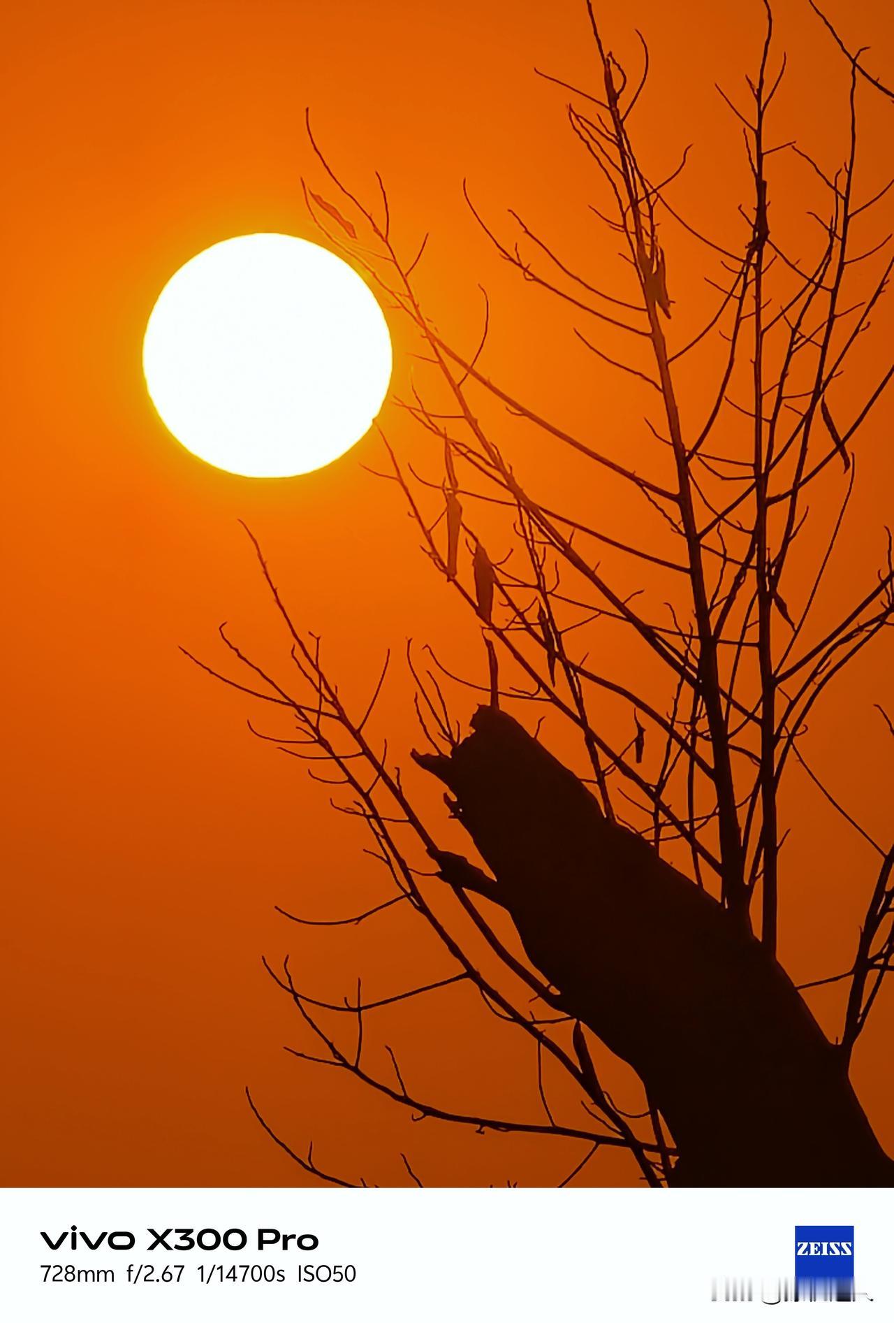 日落党快看过来！！让我看看你们手机里的日落黄昏大片！📷:shot on viv