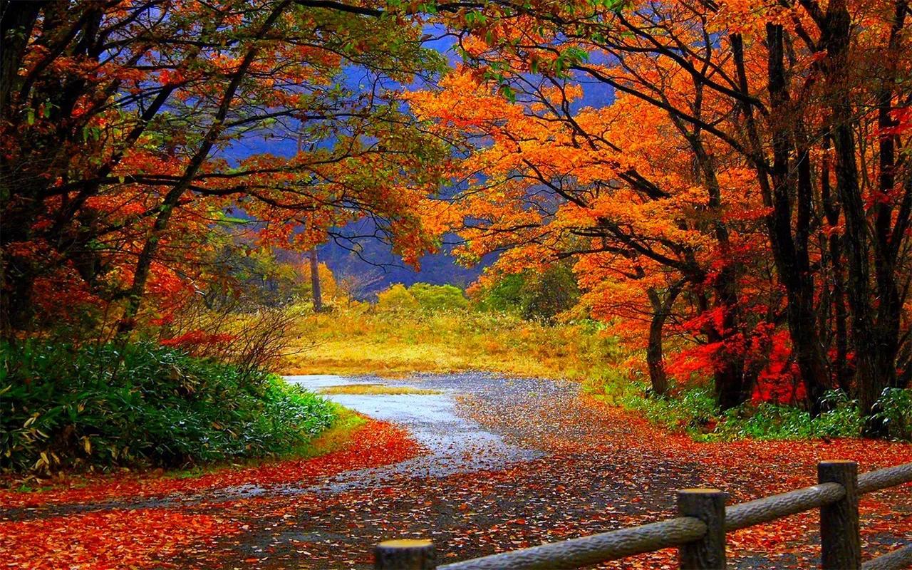 晚秋

秋色染风情，几片秋叶问梧桐
绵雨点评满坡红，霜露盖草丛
大雁惜空鸣，芦花