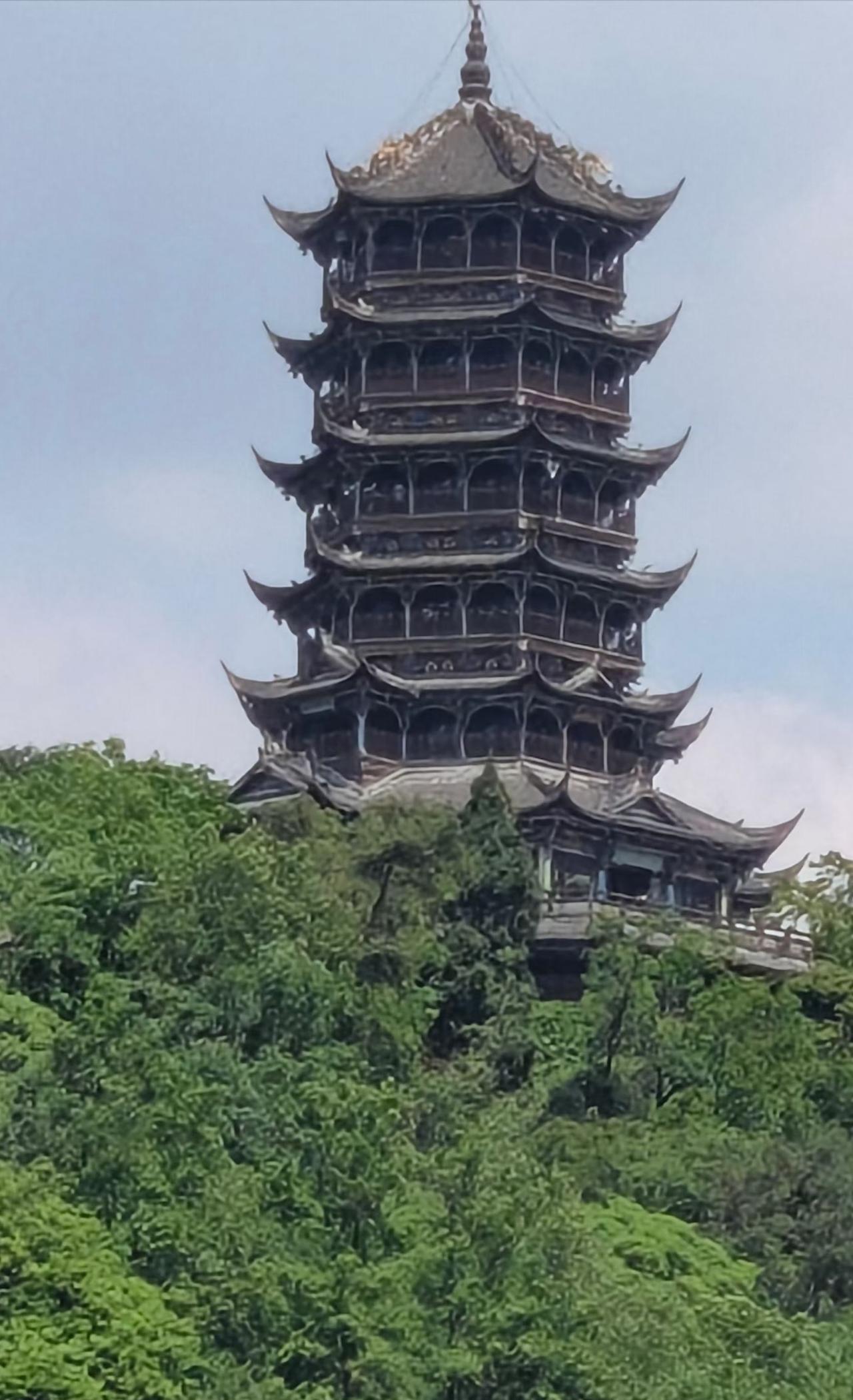 分享一张最近随手拍的照片