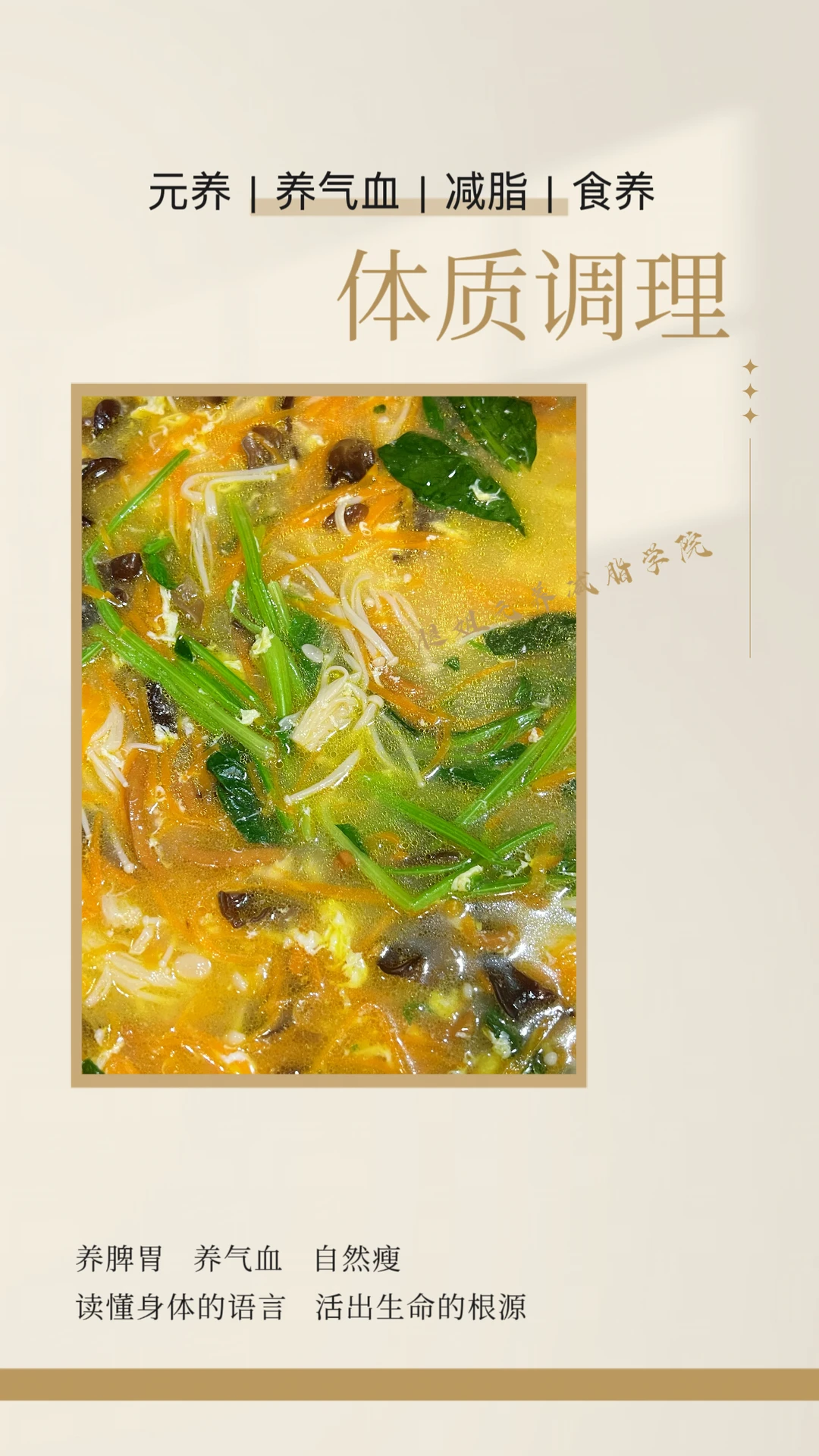 五行素汤｜体质调理