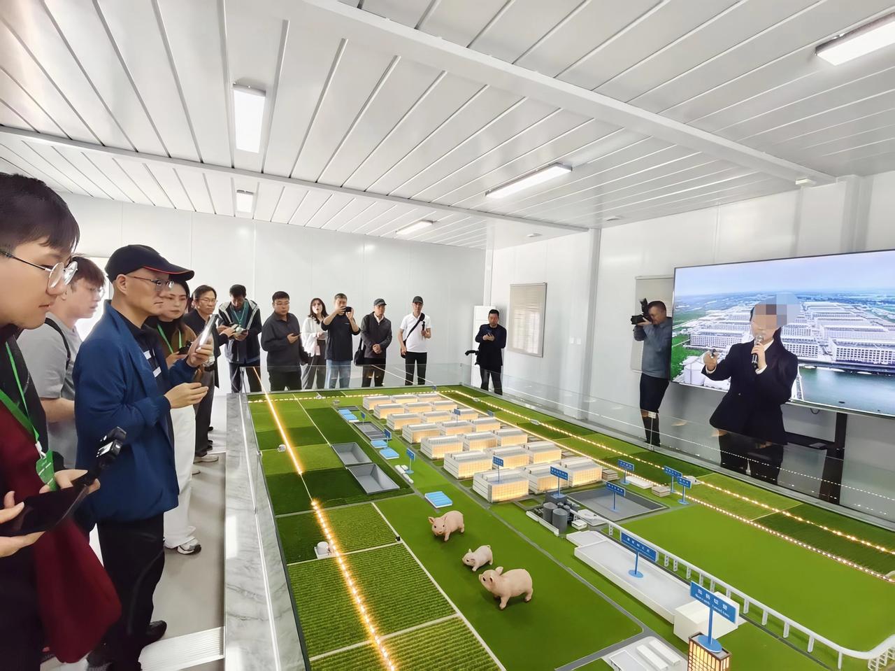 🐷 你吃的猪肉，可能来自一栋"智能公寓"！

你敢信吗？在河南南阳，猪住的是6