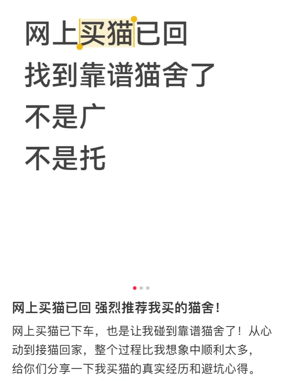 ⚠️新型卖猫骗局