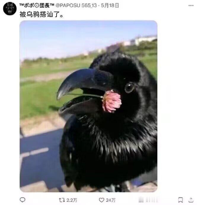 嗨。 ​​​