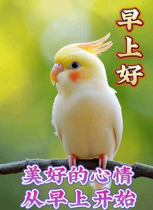 丽影流云覆远疆，
平川处处溢芬芳。
相交知己情长久，
相伴平生意韵长。
心自在，