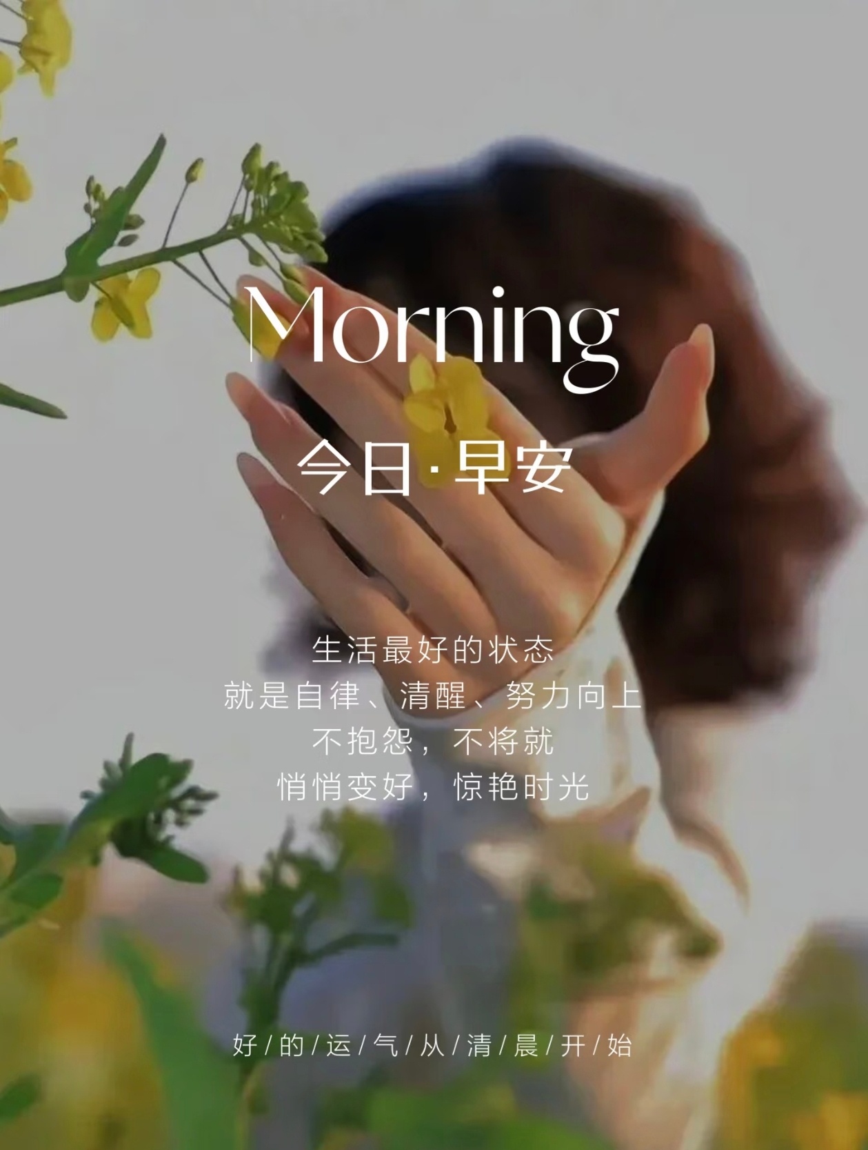 🦋✩‧₊˚ ᴍᴏʀɴɪɴɢ💜眉眼自带清风容颜自成风景安然度日，温柔一生 ​​