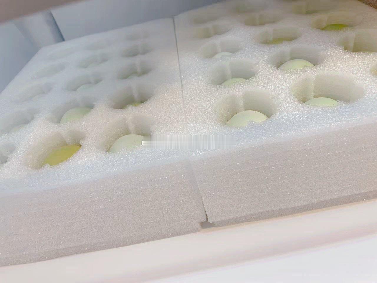 给俩崽买的乌鸡蛋到了，我家现在是，俩崽吃乌鸡蛋（蛋清归我），蘭皇看新鲜度，新鲜的