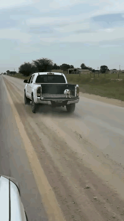 竟然能回车上去！厉害了！