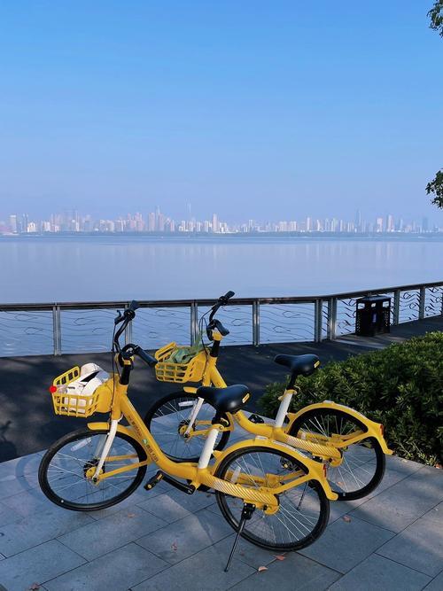 晒图笔记大赛武汉六月武汉东湖绿道风景如画，骑行的人群骆驿不绝。