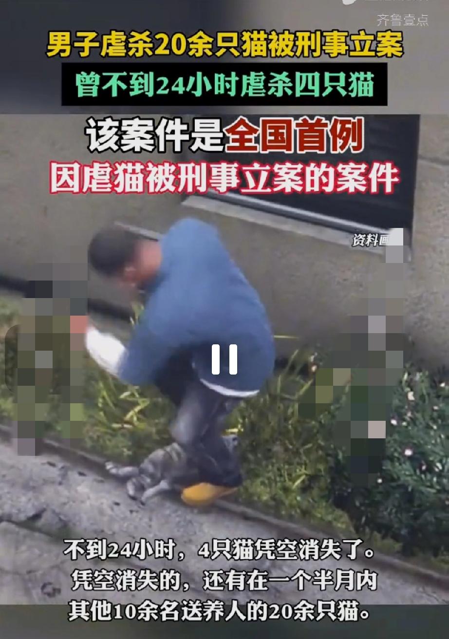 男子虐杀20余只猫被刑事立案，这也是全国首例因虐猫被刑事立案的案件。 
有网友表