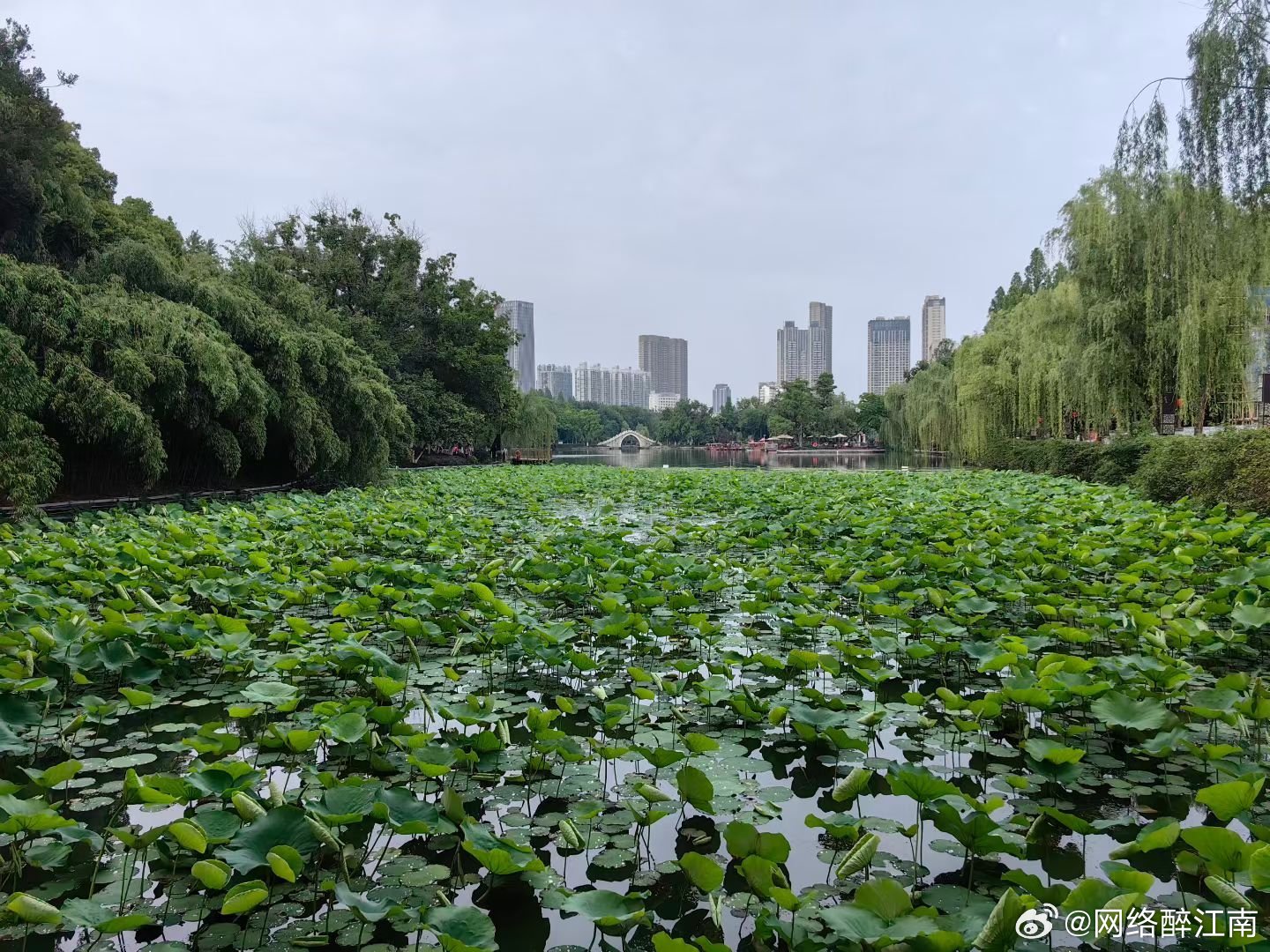 哲思呓语 跌倒了自己爬起，没有跌倒，没有真正的长大。晚安江南生活晚安今日份鸡汤