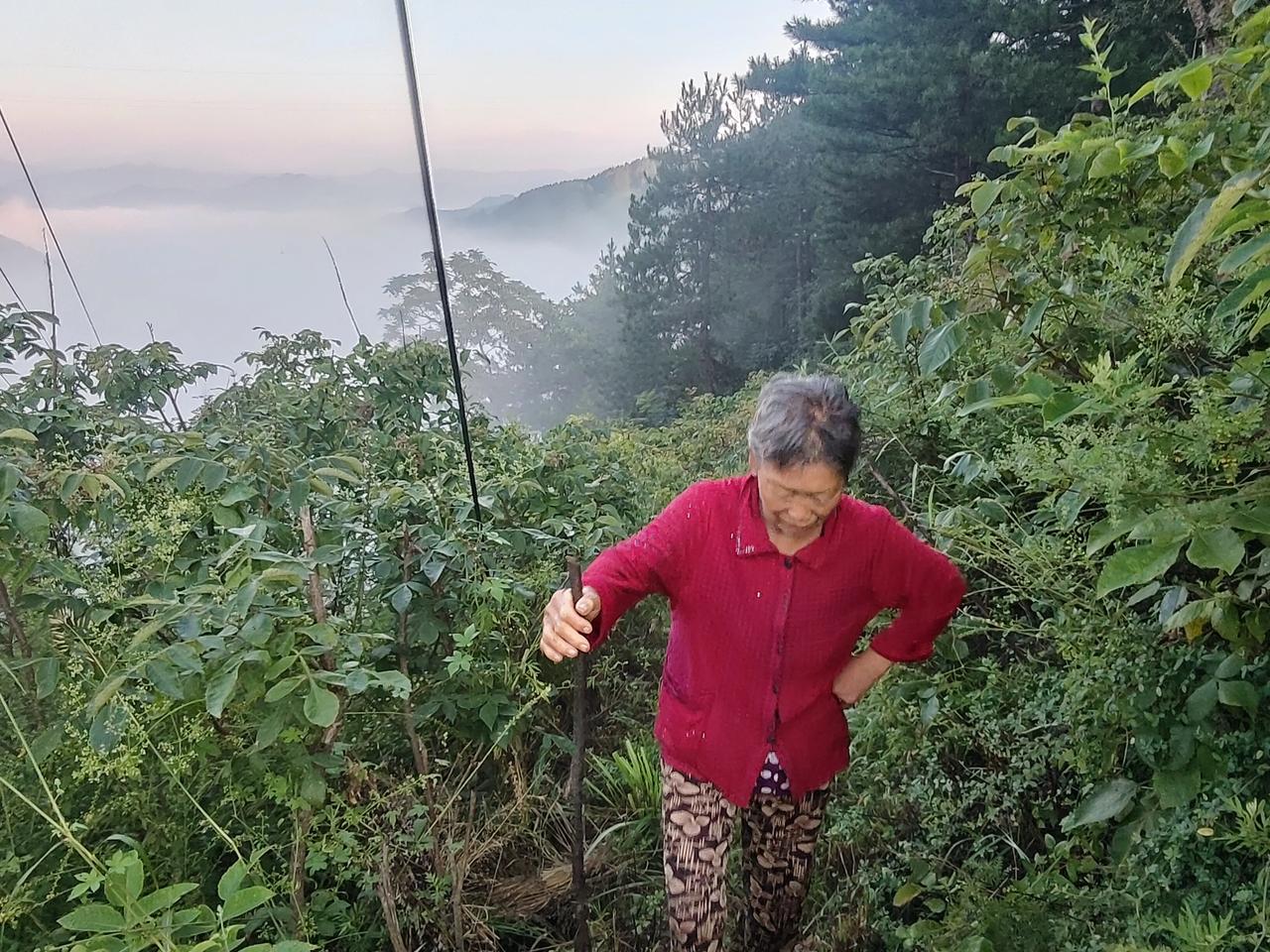 你觉得善良的人，最大的缺点是什么 我认为善良之人最大的缺点便是心软。他们见不得他
