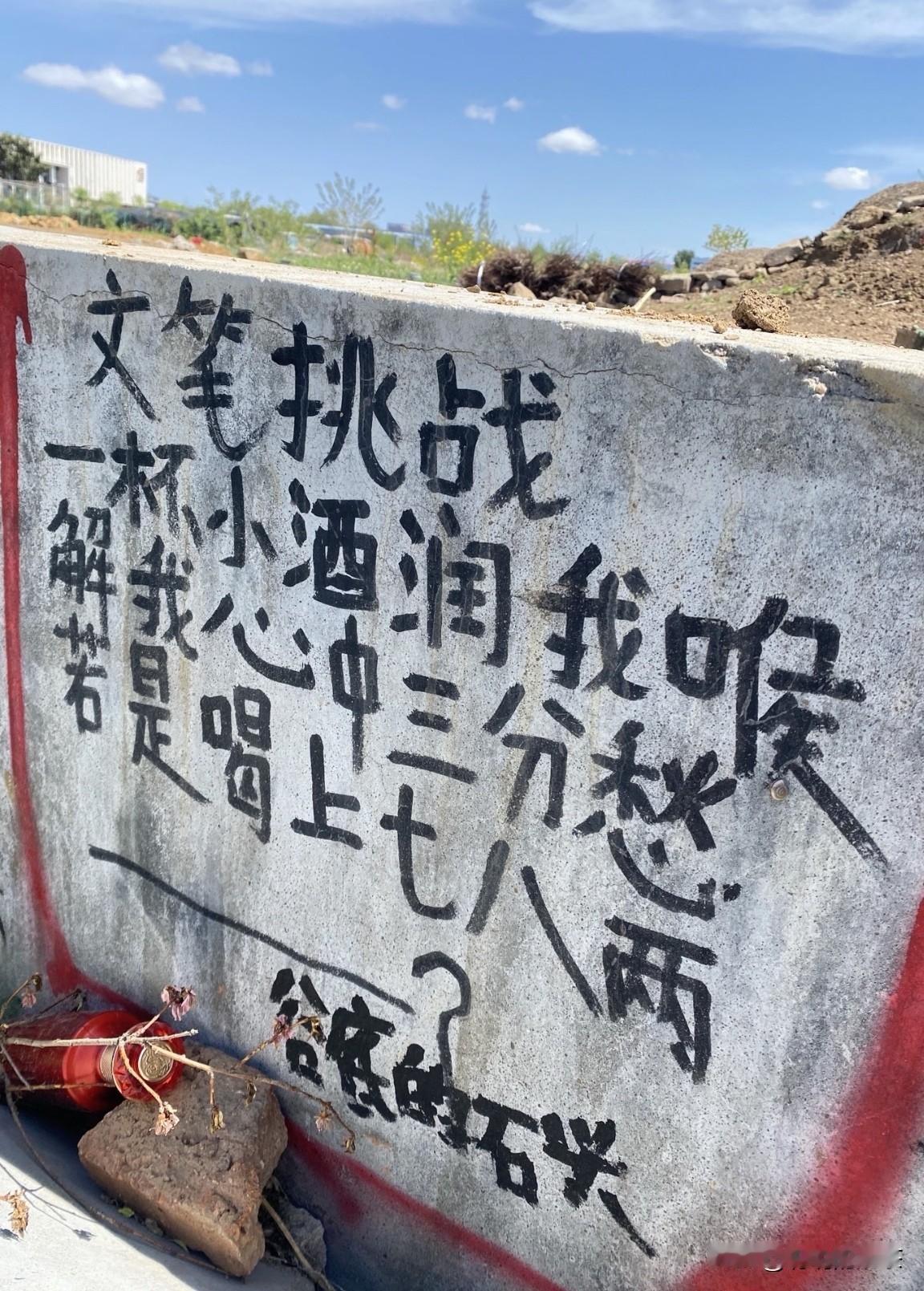 不知道是谁在野外留下的！谁来帮我对下最后一句？