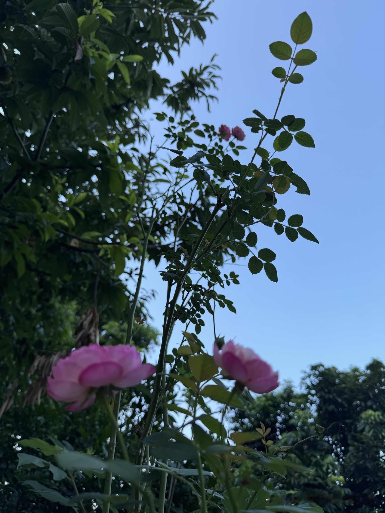 健康这事得多重视
最近陪老爸住院，发现住院的大多五十多，六十多，七十多，八十多的