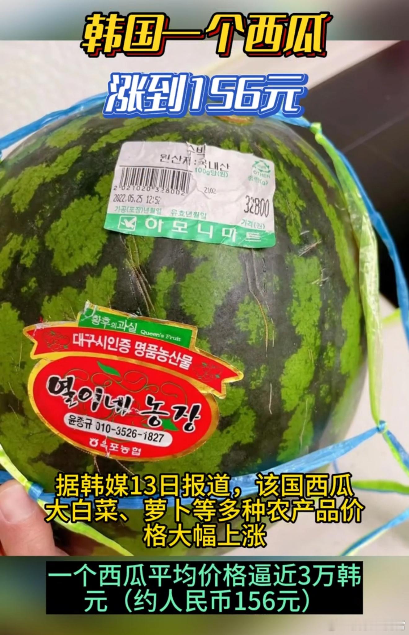 好家伙，韩国一个西瓜涨到156元，心疼韩国人，就拿图里面这西瓜来说，卖32800