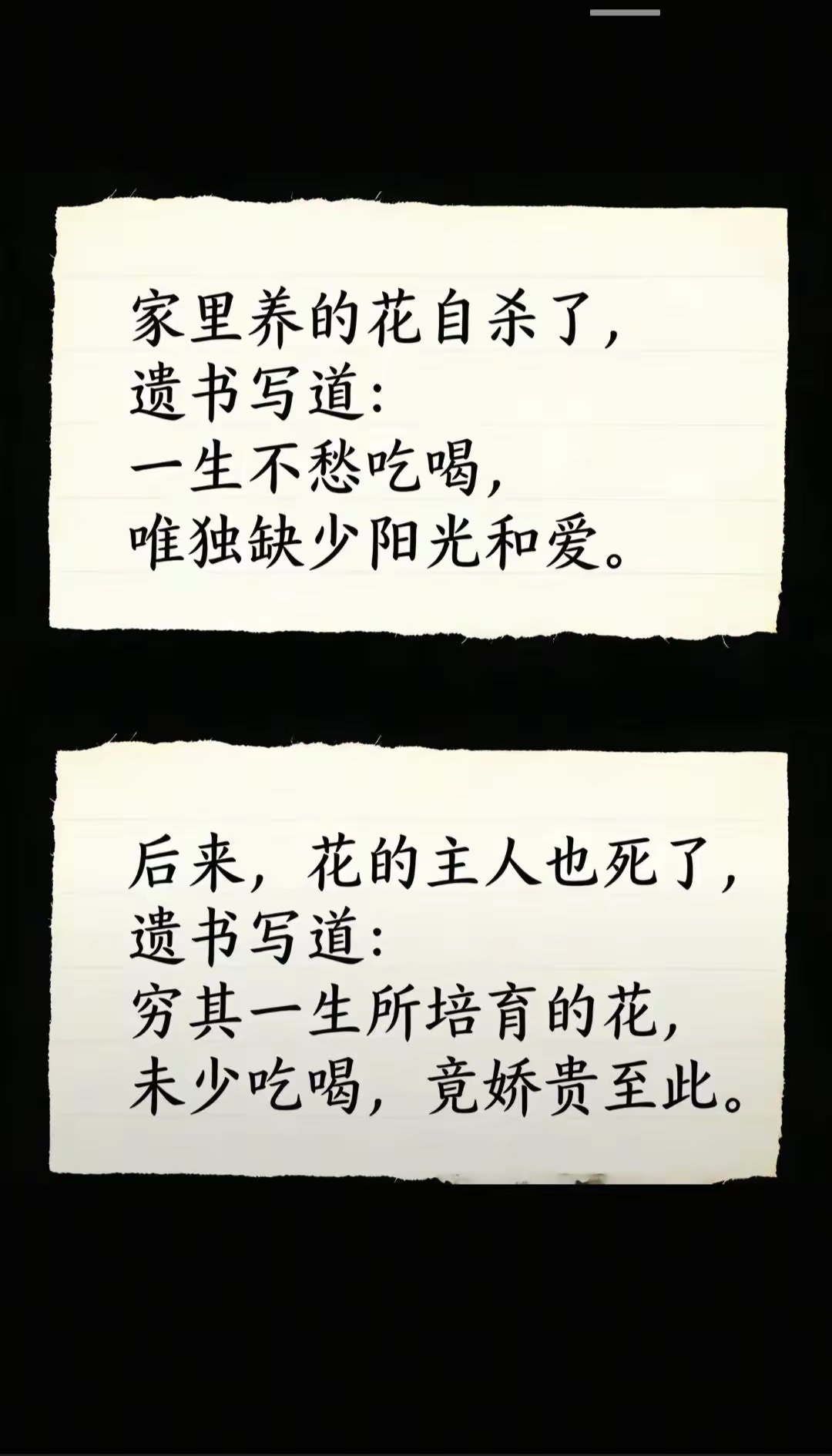 你的好，它不知道它的心，你不知晓带着误会，一直到老 ​​​