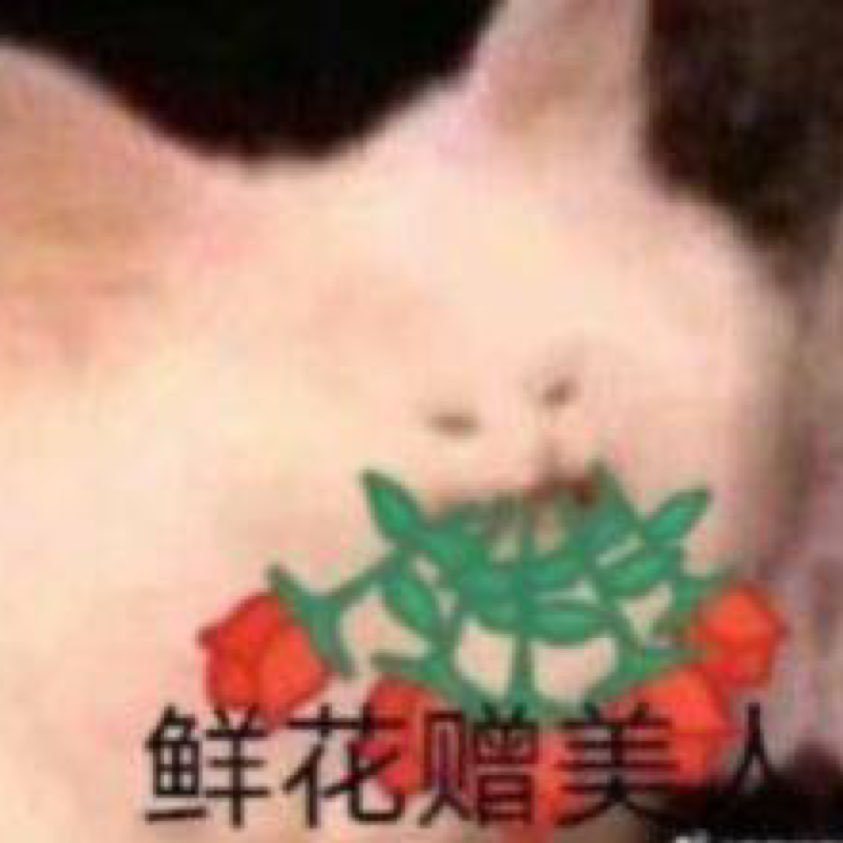 凤梨爱动漫