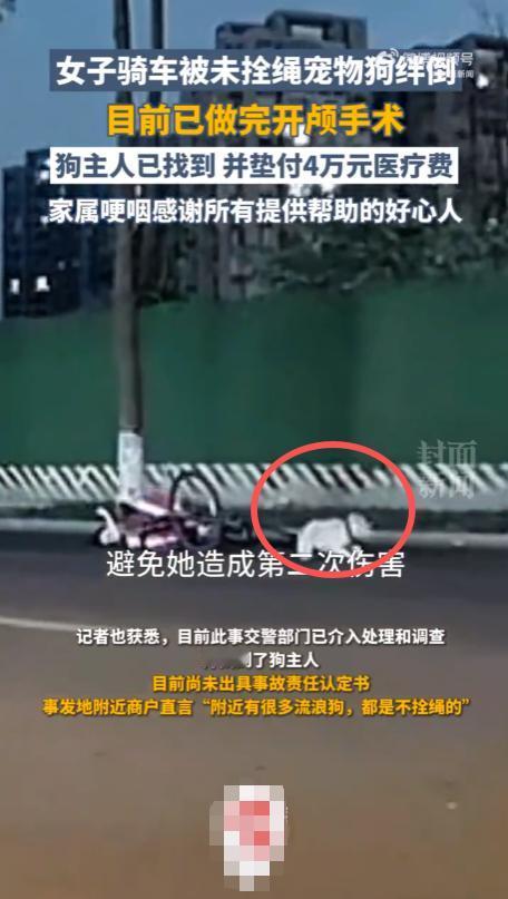 又是因为狗不栓绳而导致的悲剧发生。
事情发生在11月16日的成都街头，一名女生在