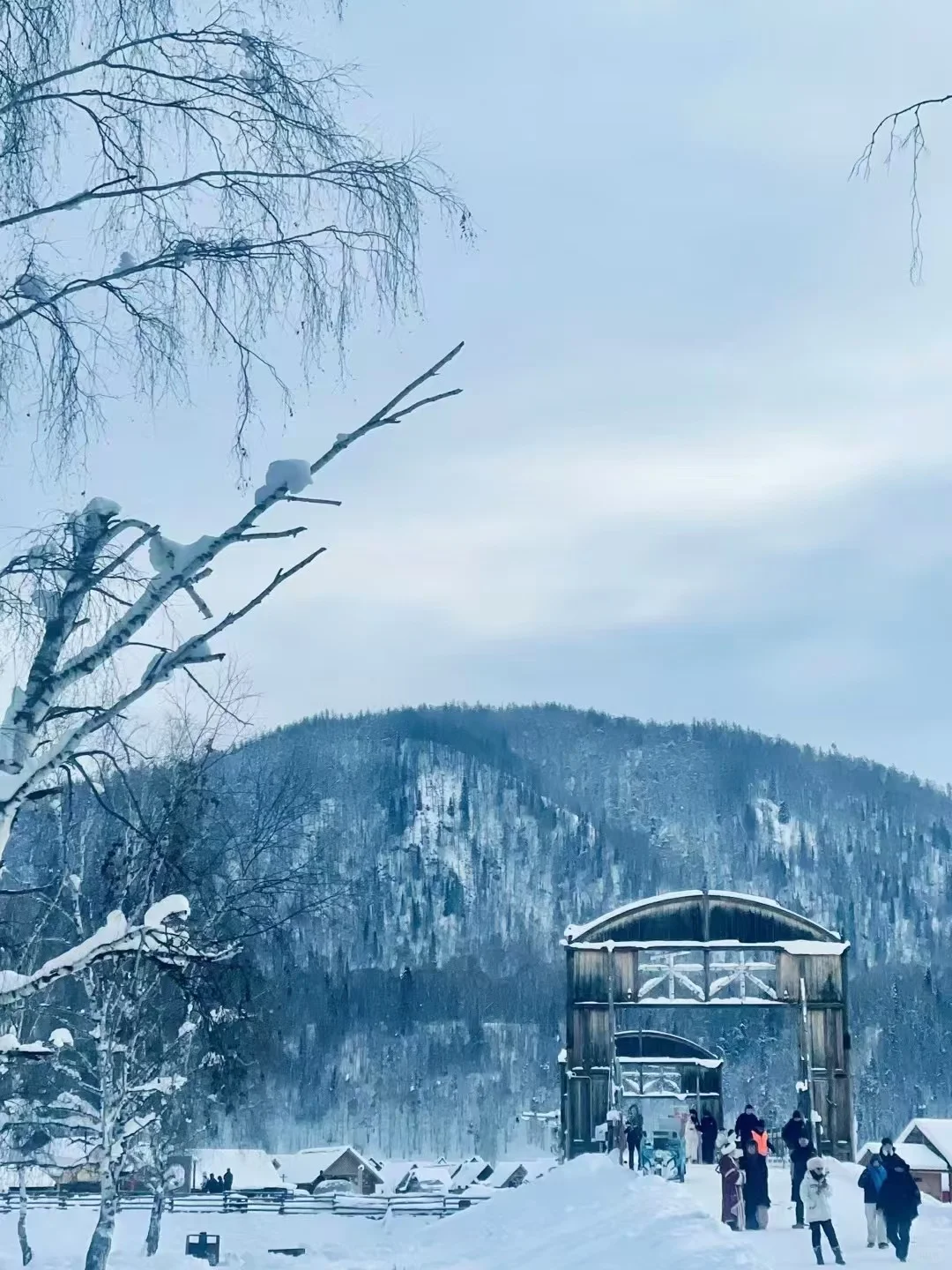 ❄️禾木冬景实况｜周末邀请你看点祛班味的图