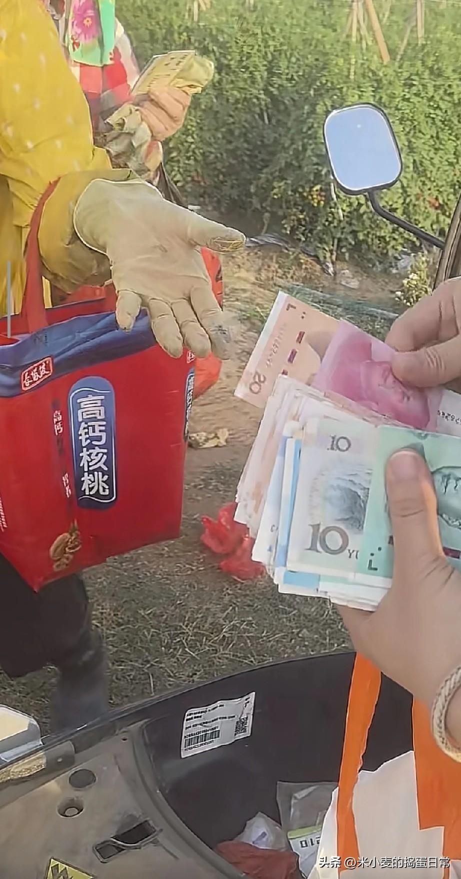 湛江田间这一幕，看哭多少打工人！
 
湛江平步洋的田埂上，几百位戴草帽的阿姨排着