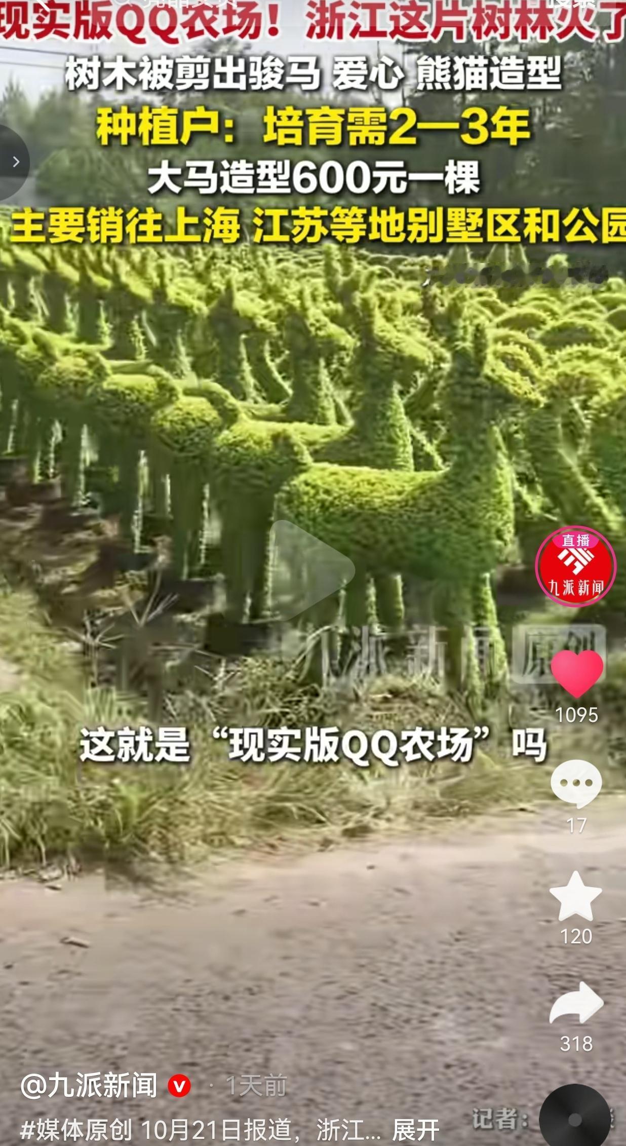 把普通树苗慢慢雕琢成动物造型，这片苗木基地，活生生造出了现实版QQ农场。
 
浙