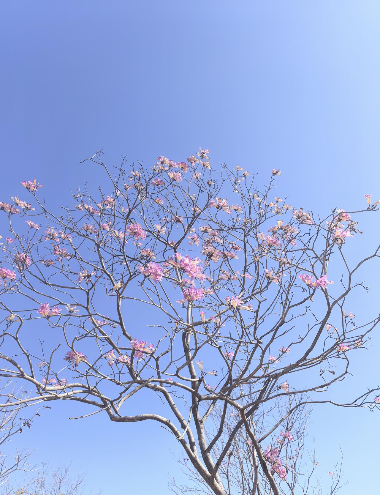 你是否觉得，家里的“房子”和“钱”成了孝顺的试金石？
不少人投入巨资帮父母建房，