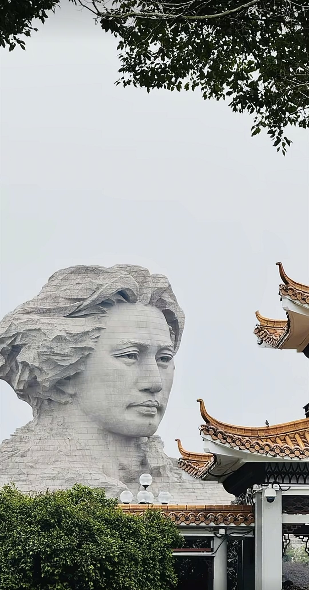 华夏何其幸，存亡之境伟人生 