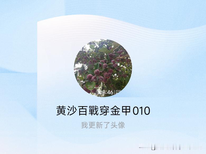 快来看看我新换的头像吧