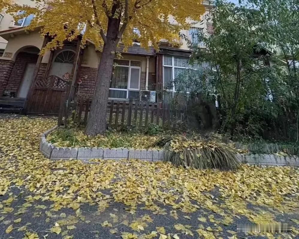 孩子很普通，整个中学三年，是在班主任的耳提面命和我的激进状态下，踩着门槛迈进了重