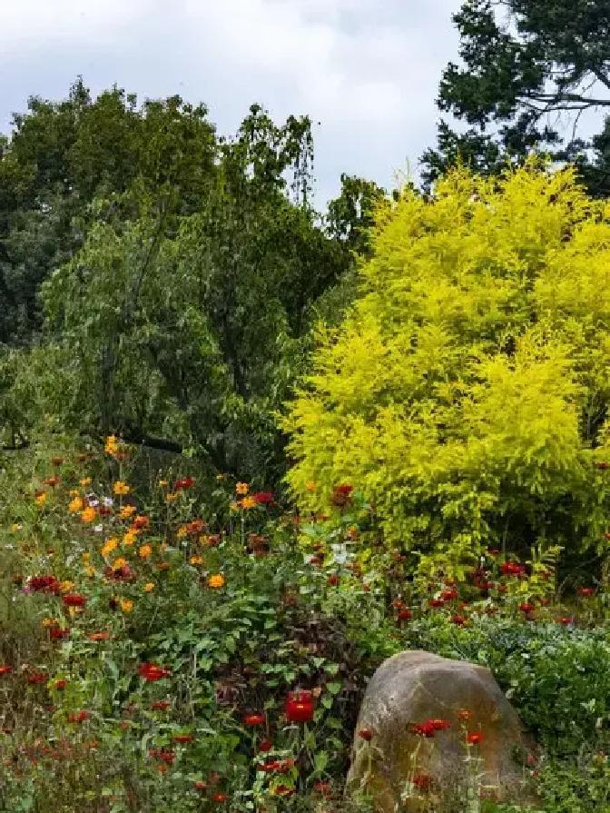 日子总有起起落落，谁还没遇上过几件堵心事啊？工作卡壳了，感情出点小摩擦，家里偶尔