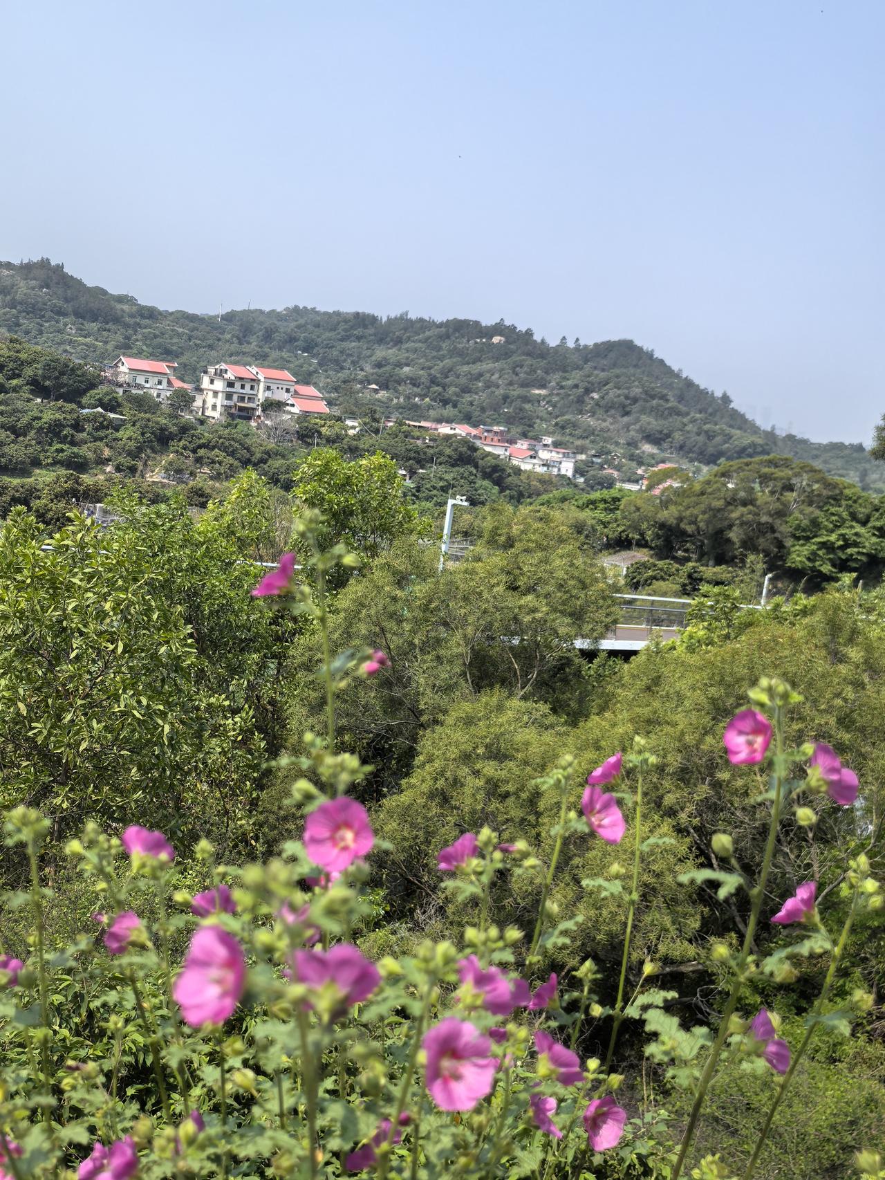 春季的东坪山分外迷人，这里的人文风景越来越有底蕴，更吸引了很多年轻有为的各行业优