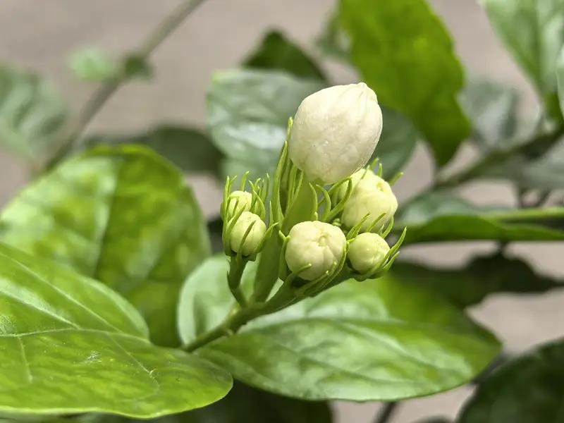 今日头条爆款文章：退休札记

当生活褪去职业的戎装
别急着把体面也锁进衣箱
那件