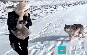 一屠晚归，担中肉尽，止有剩骨。途中两狼，缀行甚远。屠惧，投以骨。一狼得骨止，一狼