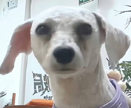 路过动一下，获得突突香吻一枚 
