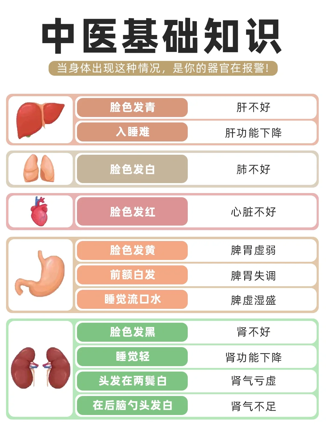 养生人必须懂的中医基础知识
