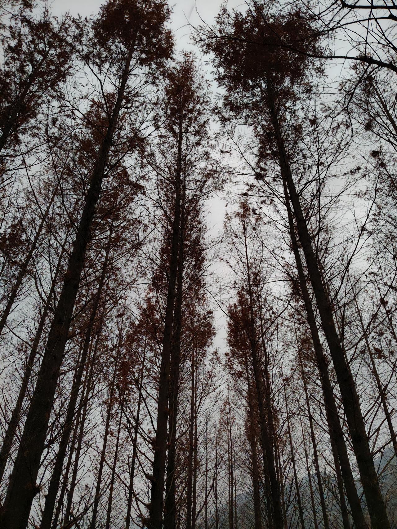 创作训练营2期开营啦在股市里，很多投资者会走入这样的误区，就是认为在股市里，投资