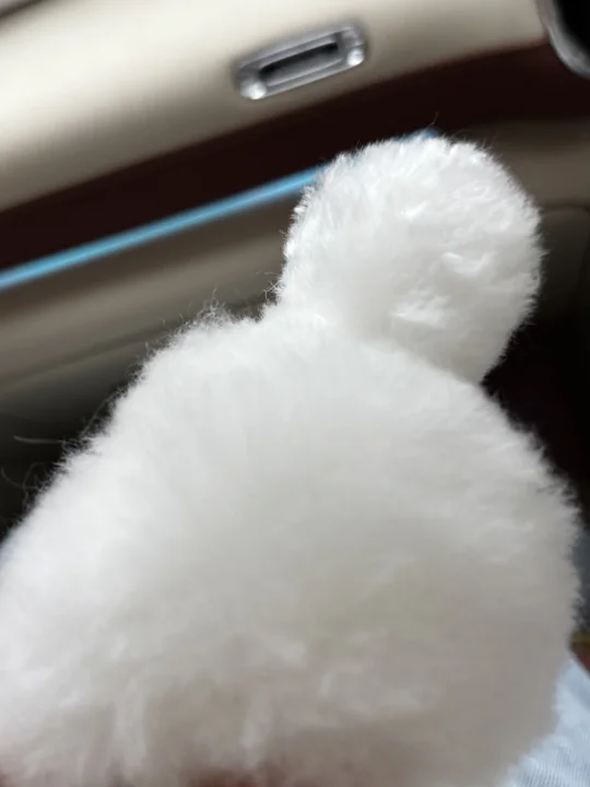这是什么可爱的小东西