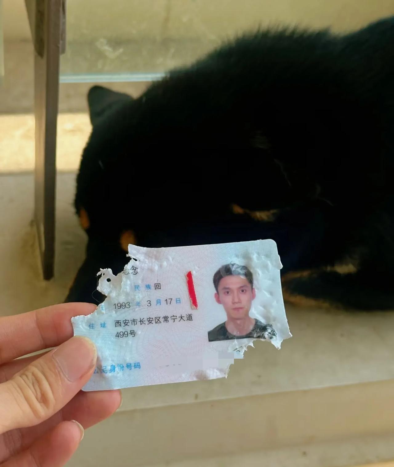 一觉醒来天塌了，下午还要出差。