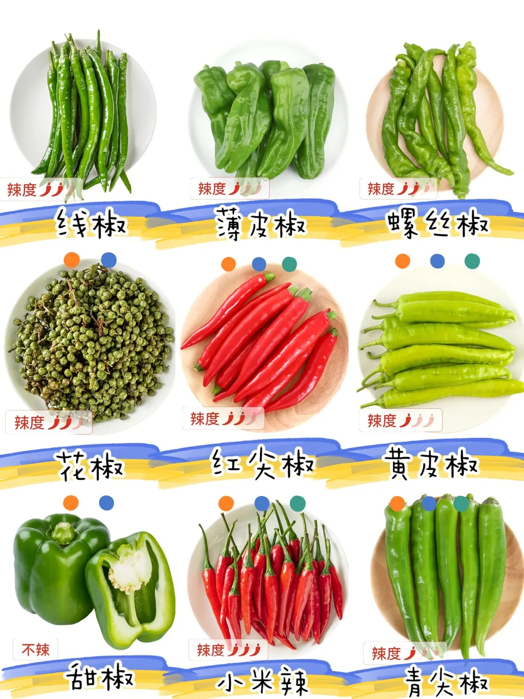 🌶️辣椒脑袋狂喜！9 种辣椒图鉴+吃法大公开