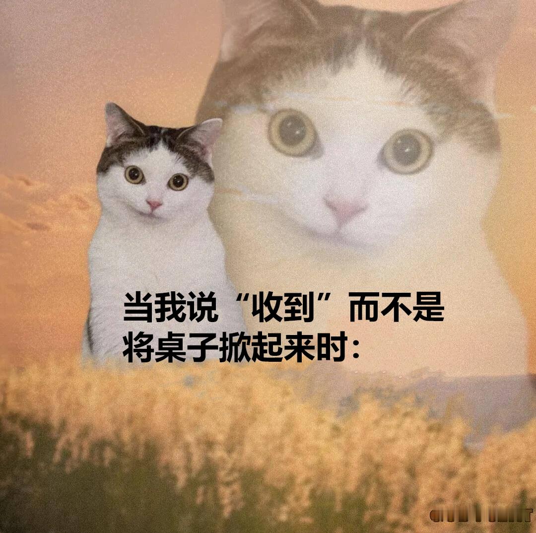 掀起小桌板 