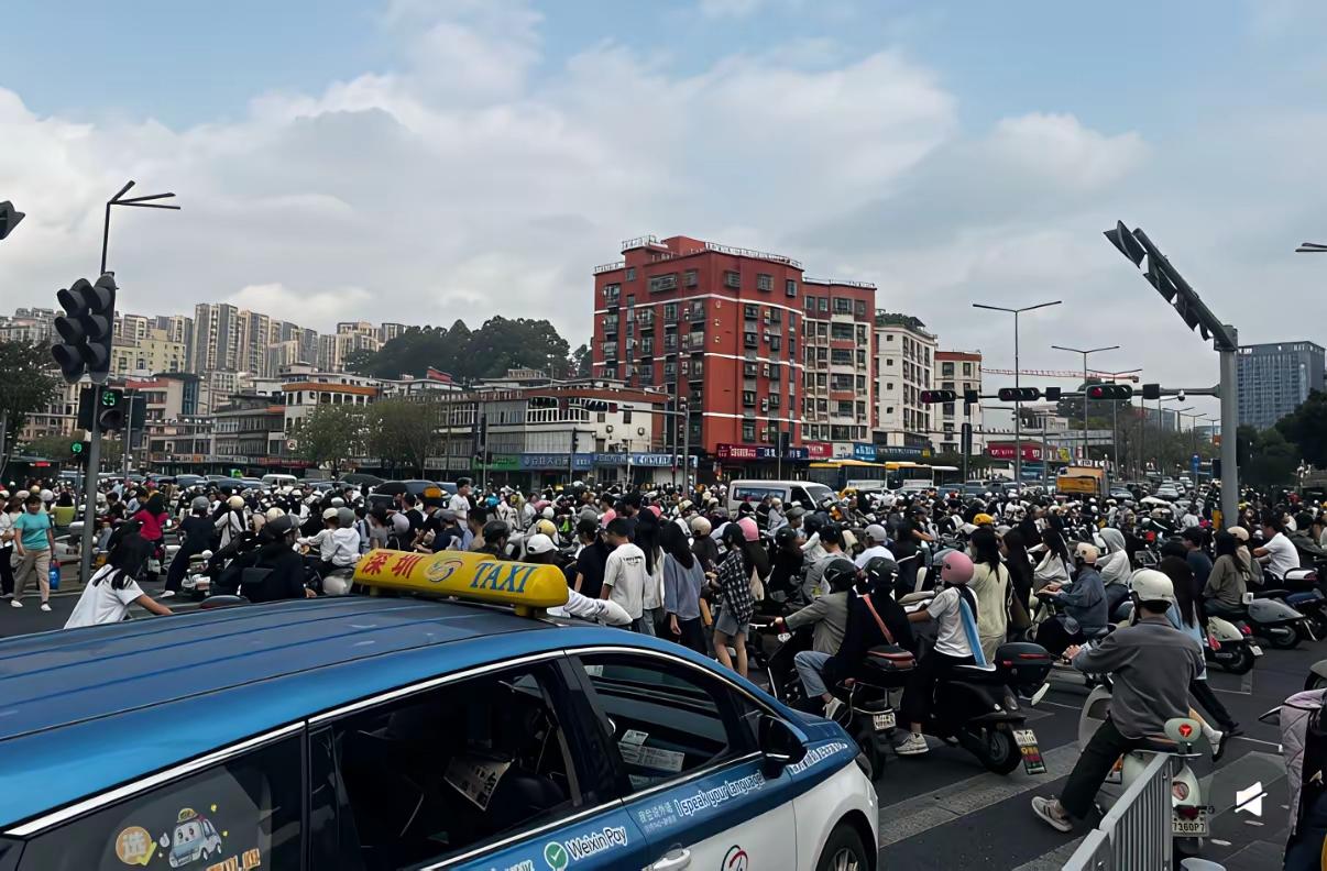 若没有那么多电鸡，
深圳的城市面貌绝对是世界第一，
纽约、东京啥的都赶不上，
现