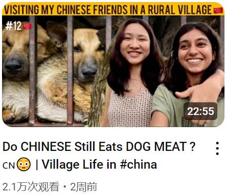 找到这个三妹了，比较意外的是竟然是个大博主，53万订阅，这在旅游博主里真不小了，
